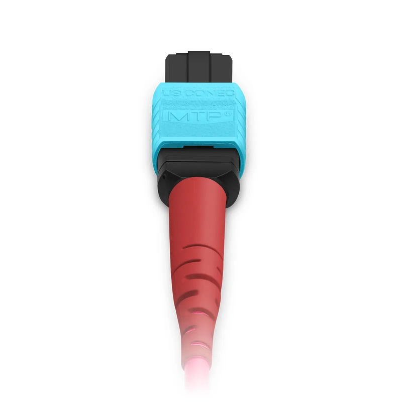 FyberOptix 2m (7ft) MTP® Breakout Cable, MTP®-24 UPC (Female) to 3 x MTP®-8 UPC (Female), 24 Fibers, Multimode (OM4), Plenum (OFNP), 0.35dB Max, Type B, Magenta