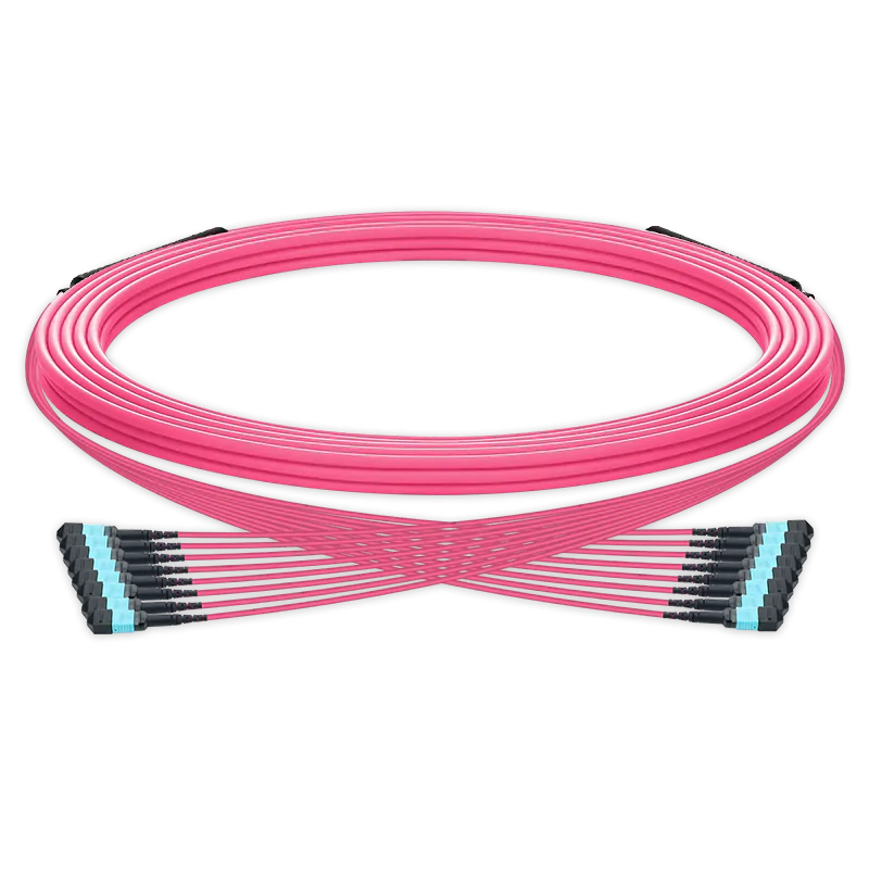 5m (16ft) Pre-terminated MPO trunk cable, 96 Fibers, 8 x MPO-12 UPC (Male) to 8 x MPO-12 UPC (Male) Multimode (OM4) Type B, LSZH(OFNR), 0.35dB Max, Magenta, breakout 80cm SFPS