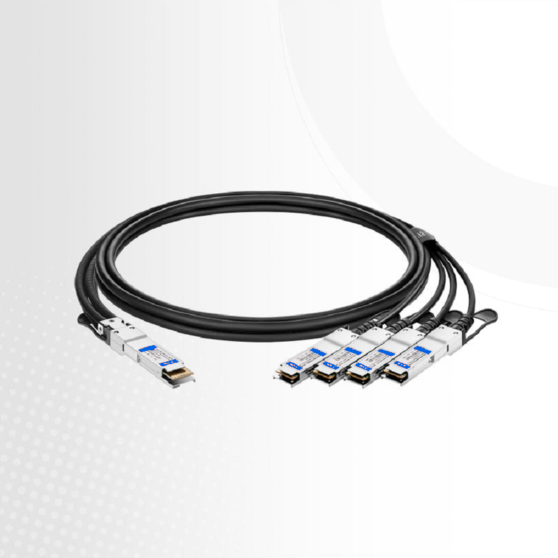 FyberOptix 2m (7ft) Juniper Networks Compatible 400G QSFP-DD 8 x 50G PAM4 to 4 x 100G QSFP56 2 x 50G PAM4 Passive Direct Attach Copper Breakout Cable
