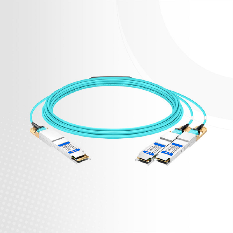 FyberOptix 3m (10ft) Generic Compatible 200G QSFP-DD 8 x 25G NRZ to 2 x 100G QSFP28 4 x 25G NRZ Active Optical Breakout Cable