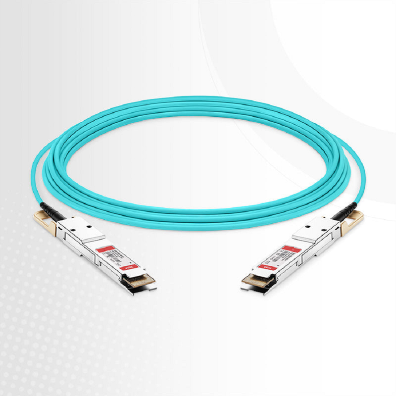 FyberOptix 1m (3ft) Generic Compatible 200G QSFP-DD 8 x 25G NRZ Active Optical Cable