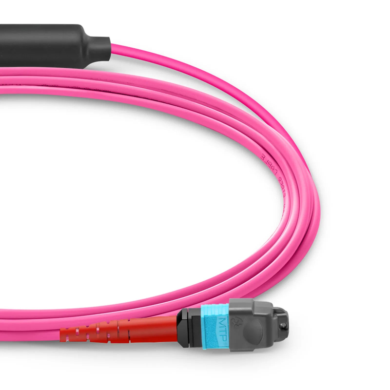 FyberOptix 2m (7ft) MTPÂ® Breakout Cable, MTPÂ®-24 UPC (Female) to 3 x MTPÂ®-8 UPC (Female), 24 Fibers, Multimode (OM4), Plenum (OFNP), 0.35dB Max, Type B, Magenta