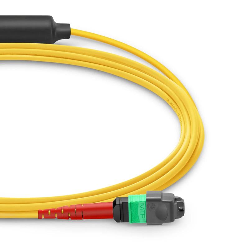 FyberOptix 2m (7ft) MTPÂ® Breakout Cable, MTPÂ®-24 APC (Female) to 2 x MTPÂ®-12 APC (Female), 24 Fibers, Single Mode (OS2), Plenum (OFNP), 0.35dB Max, Type A, Yellow