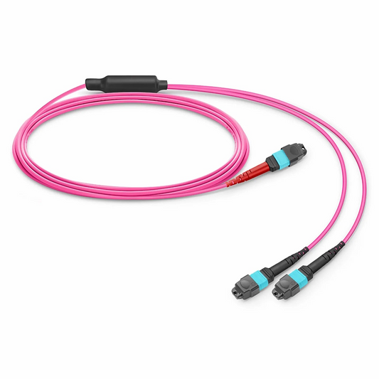 FyberOptix 2m (7ft) MTPÂ® Breakout Cable, MTPÂ®-24 UPC (Female) to 2 x MTPÂ®-12 UPC (Female), 24 Fibers, Multimode (OM4), Plenum (OFNP), 0.35dB Max, Type A, Magenta