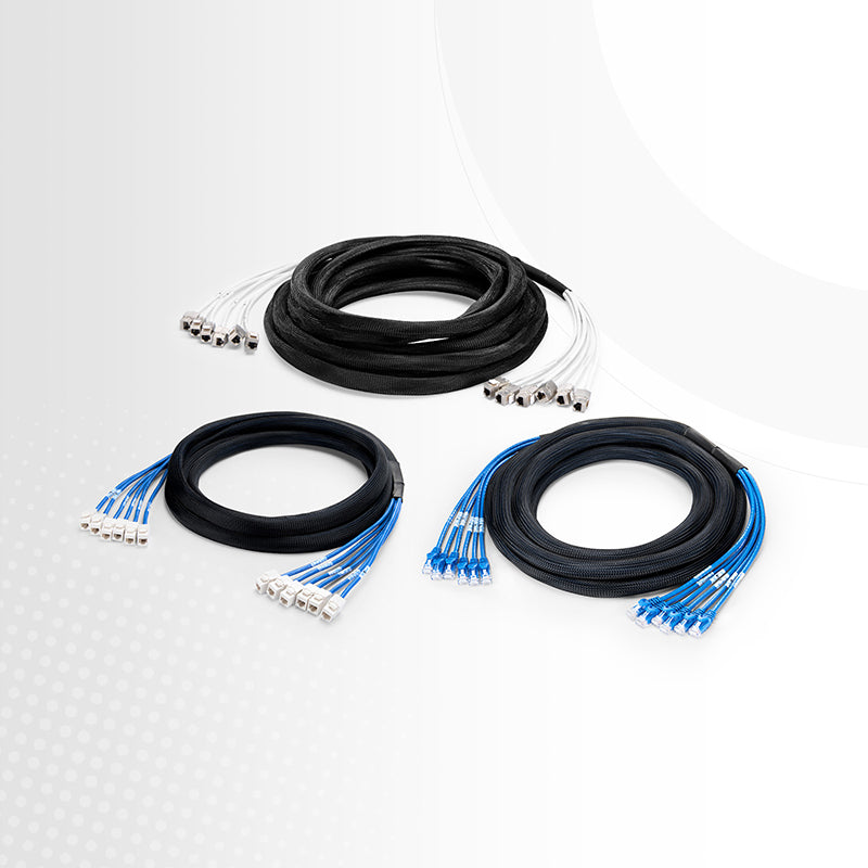 FyberOptix 10ft (3m) 6 Plug to 6 Plug Cat5e Unshielded (UTP) PVC CMR Pre-Terminated Copper Trunk Cable