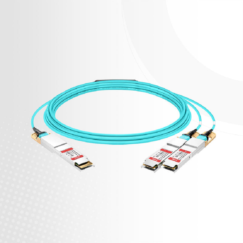 FyberOptix 20m (66ft) Generic Compatible 200G QSFP-DD 8 x 25G NRZ to 2 x 100G QSFP28 4 x 25G NRZ Active Optical Breakout Cable