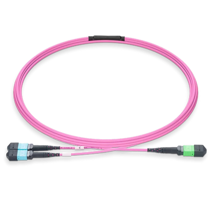 20m (66ft) MPO-16 APC (Female) to 2xMPO-8 UPC (Female) Multimode (OM4) Breakout, Type B, LSZH, 3.0mm, Max IL ÃƒÂ¢Ã¢â‚¬Â°Ã‚Â¤ 0.35dB, Magenta SFPS