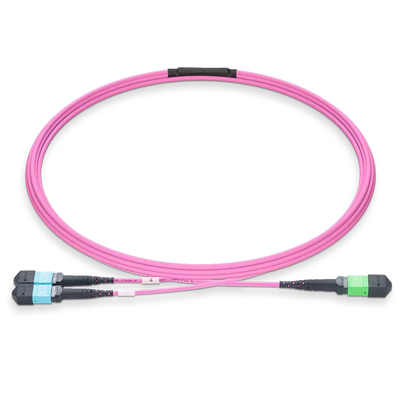 10m (33ft) MPO-16 APC (Female) to 2xMPO-8 UPC (Female) Multimode (OM4) Breakout, Type B, LSZH, 3.0mm, Max IL â‰¤ 0.35dB, Magenta SFPS