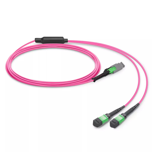 25m (82ft) MMC Breakout Cable, MMC-16 APC (Female) to 2 x MPO-8 APC (Female), 16 Fibers, Multimode (OM4), Jumper Polarity, OFNP, 2.5mm, Max IL â‰¤ 0.35dB, Magenta SFPS