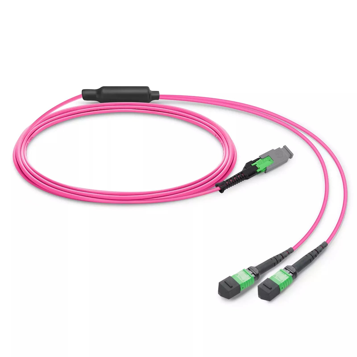 0.5m (1.6ft) MMC Breakout Cable, MMC-16 APC (Female) to 2 x MPO-8 APC (Female), 16 Fibers, Multimode (OM4), Jumper Polarity, OFNP, 2.5mm, Max IL â‰¤ 0.35dB, Magenta SFPS