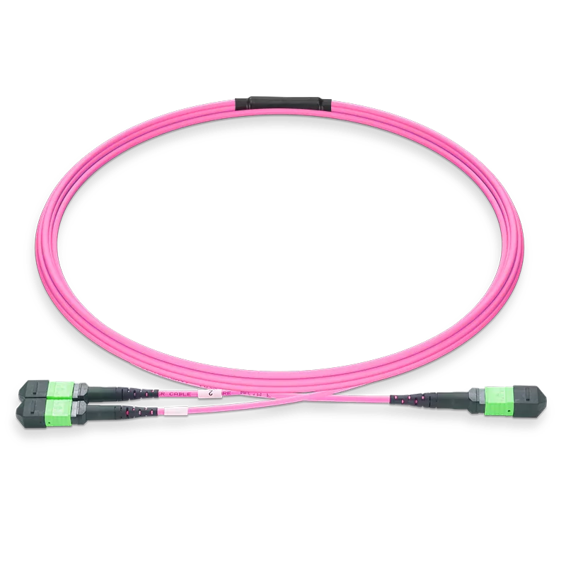 NVIDIA/Mellanox MFP7E20-N005 Compatible 5m (16ft) MPO-8 APC (Female) to 2xMPO-4 APC (Female) Multimode (OM4) Breakout, Type B, LSZH, 3.0mm, Max IL â‰¤ 0.35dB, Magenta SFPS