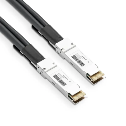 NVIDIA/Mellanox MCP1660-W001E30 Compatible DAC Cable 1m (3ft) Ethernet 400GbE QSFP-DD Passive Direct Attach Copper Twinax Cable SFPS