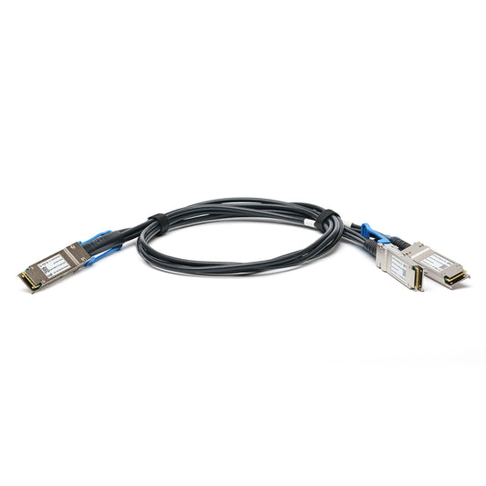200G QSFP56 to 2 x 100G QSFP56 Passive Copper Cable